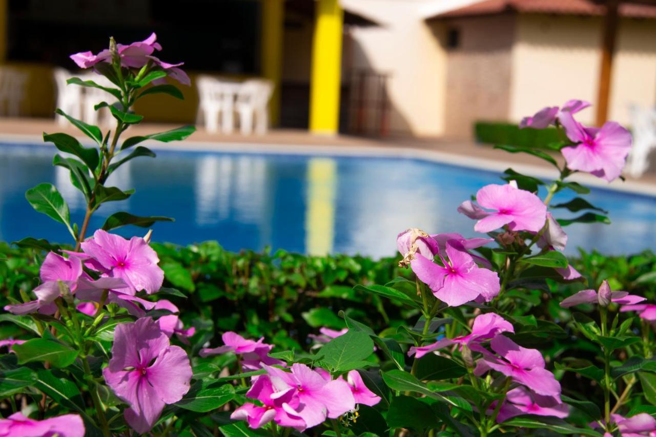 Deluxe Suites Guacamayos - Eco-Lodge & Swimming Pool Bonao 외부 사진