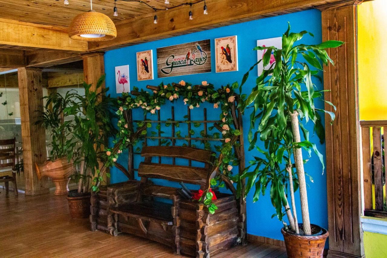 Deluxe Suites Guacamayos - Eco-Lodge & Swimming Pool Bonao 외부 사진